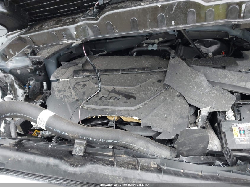 VIN 5XYP5DGC2RG550766 2024 KIA TELLURIDE SX X-LINE