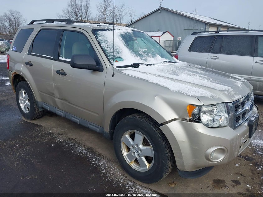 2010 Ford Escape Xlt