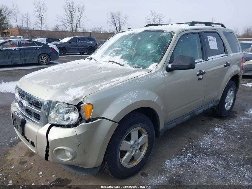 2010 Ford Escape Xlt