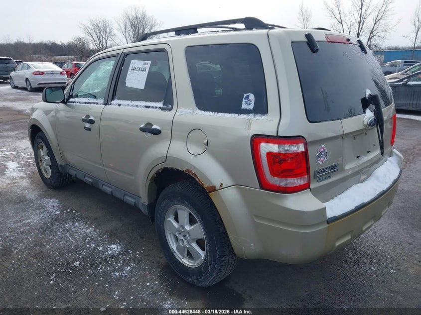 2010 Ford Escape Xlt
