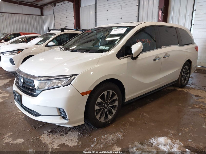 2022 Honda Odyssey Ex-L