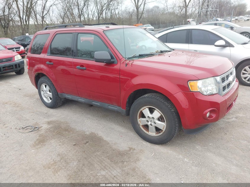 2011 Ford Escape Xlt