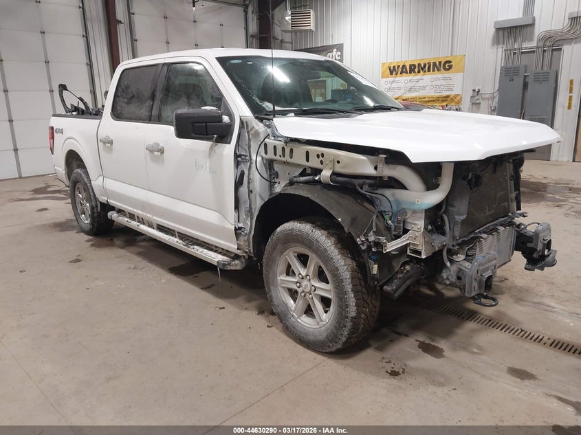 2025 FORD F-150 XLT