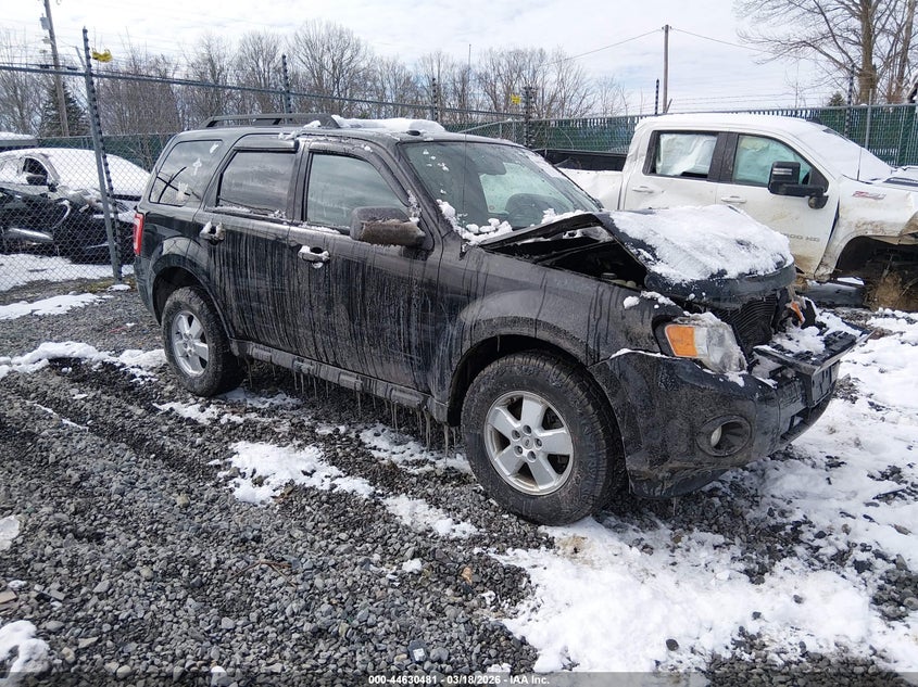 2010 Ford Escape Xlt