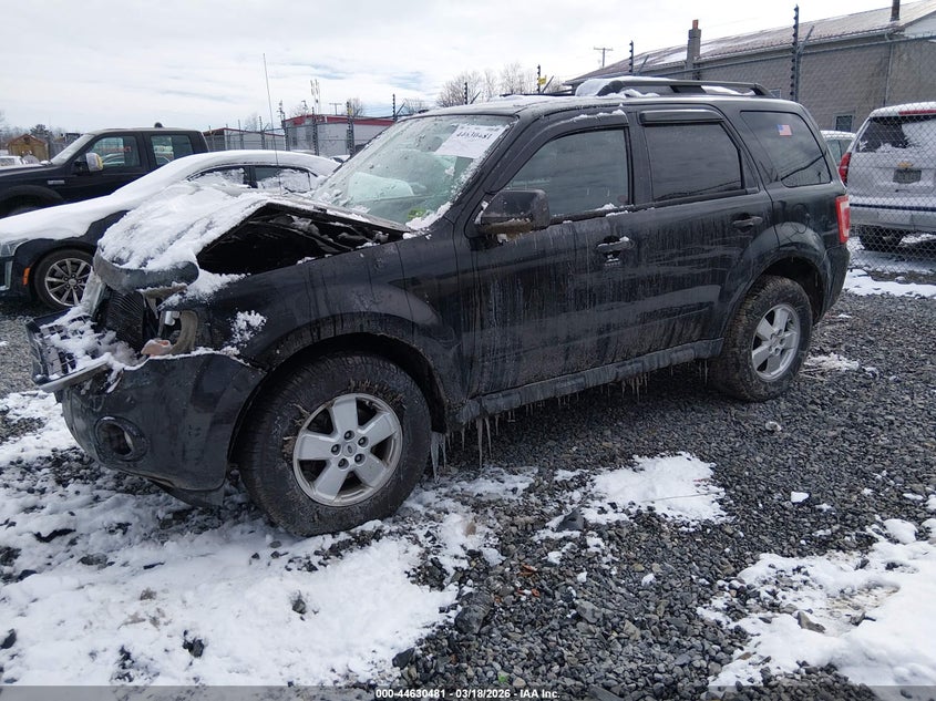 2010 Ford Escape Xlt