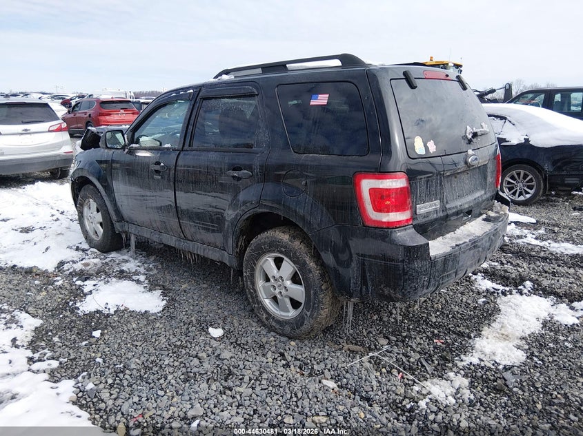 2010 Ford Escape Xlt