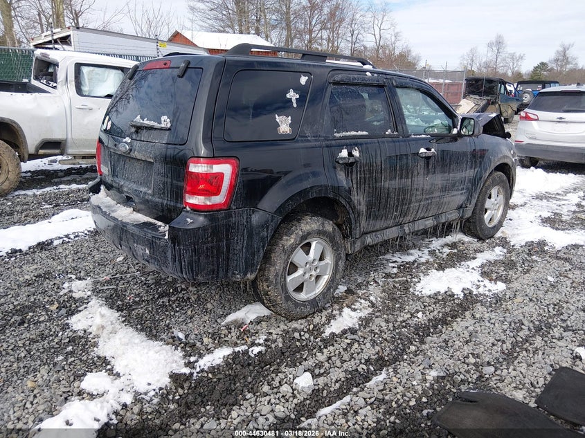 2010 Ford Escape Xlt