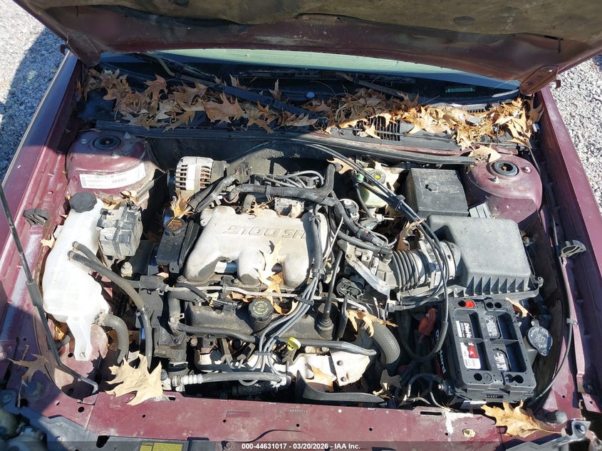 2001 Chevrolet Malibu VIN: 1G1ND52J316276760 Lot: 44631017