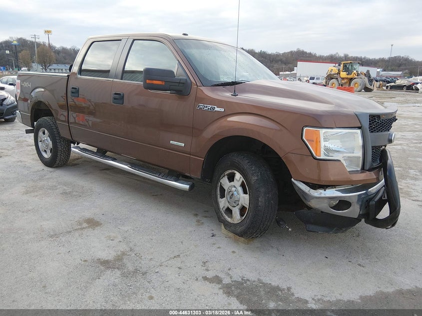 2011 FORD F-150 XLT