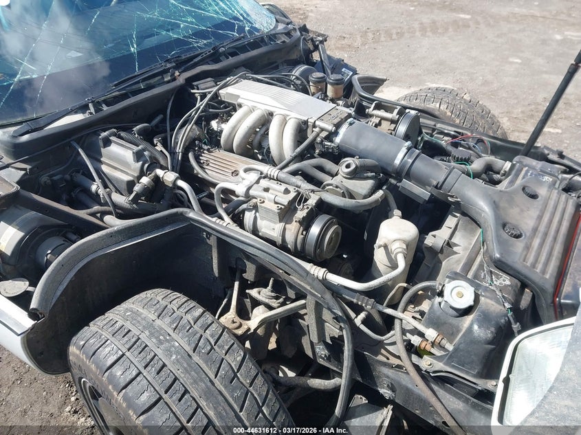 1989 Chevrolet Corvette VIN: 1G1YY2187K5101076 Lot: 44631612