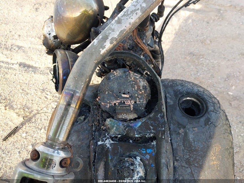 2003 Harley-Davidson Fxsts VIN: 1HD1BLY173Y101599 Lot: 44634456