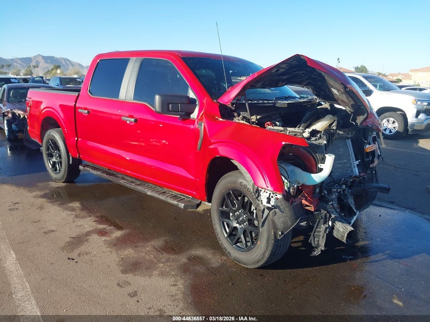 2024 FORD F-150 STX