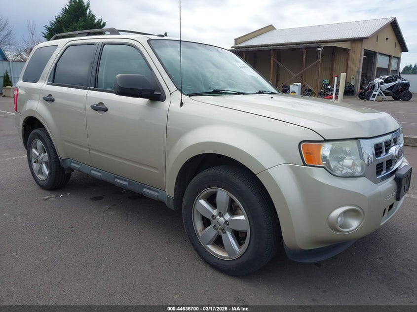 2010 Ford Escape Xlt