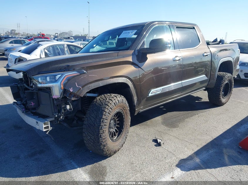2022 Toyota Tundra 1794 Edition VIN: 5TFMA5DB0NX021324 Lot: 44636791