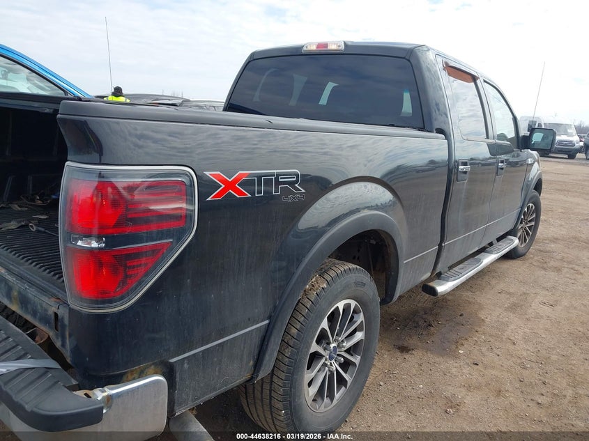 2010 Ford F-150 Fx4/Harley-Davidson/King Ranch/Lariat/Platinum/Xl/Xlt