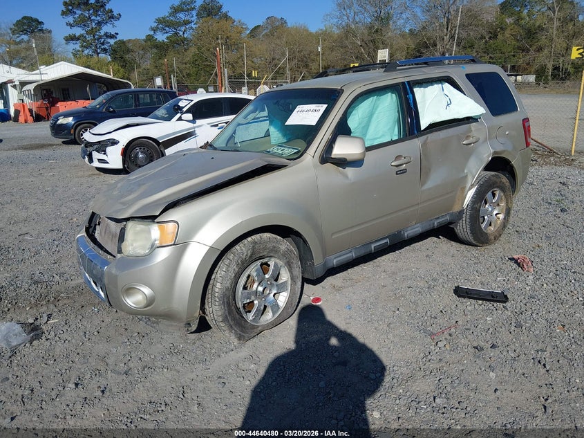 2011 Ford Escape Limited