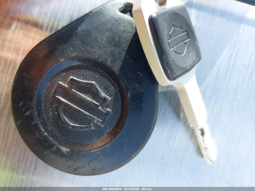 2020 Harley-Davidson Flfbsanv VIN: 1HD1YRK19LB042794 Lot: 44640939