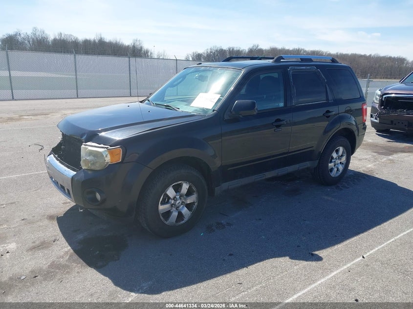 2010 Ford Escape Limited