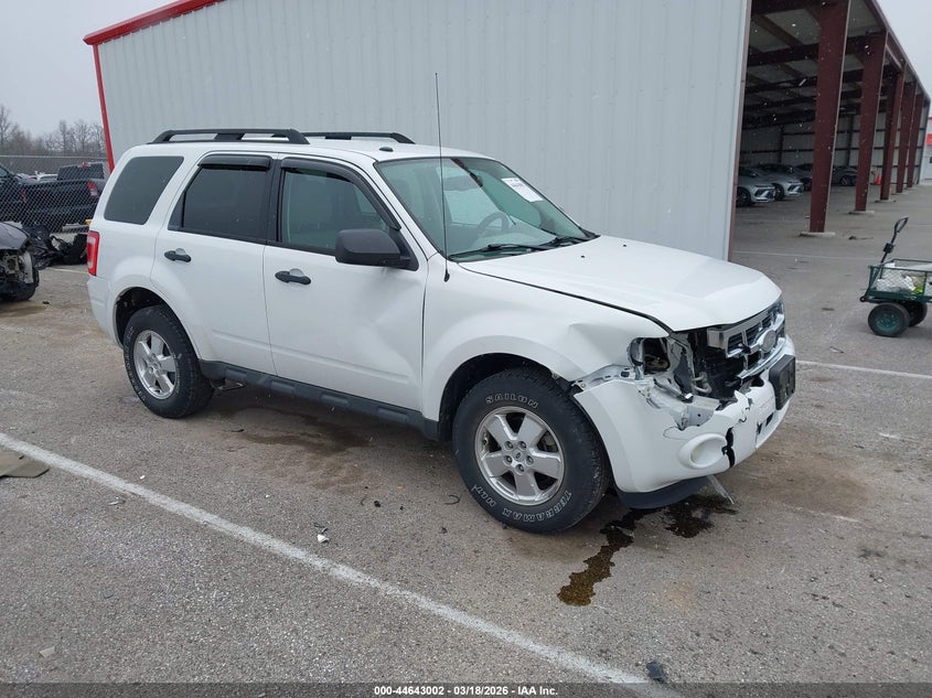 2011 Ford Escape Xlt