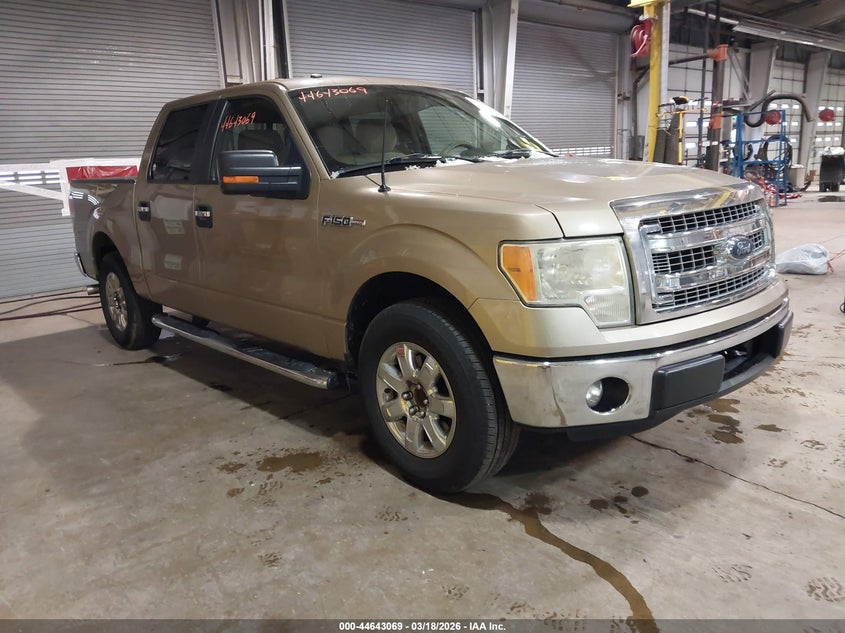 2013 Ford F-150 Xlt