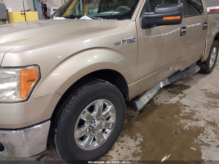 2013 Ford F-150 Xlt