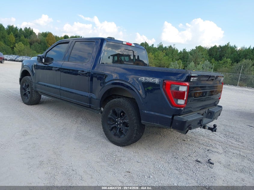 2023 FORD F-150 auction photo 3