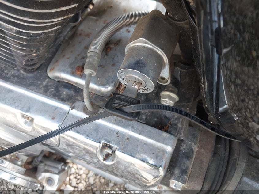 2001 Suzuki Vs800 Glp VIN: JS1VS52A512190999 Lot: 44643806