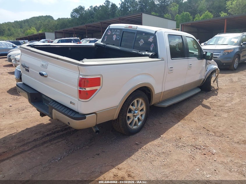 2010 Ford F-150 Fx4/Harley-Davidson/King Ranch/Lariat/Platinum/Xl/Xlt