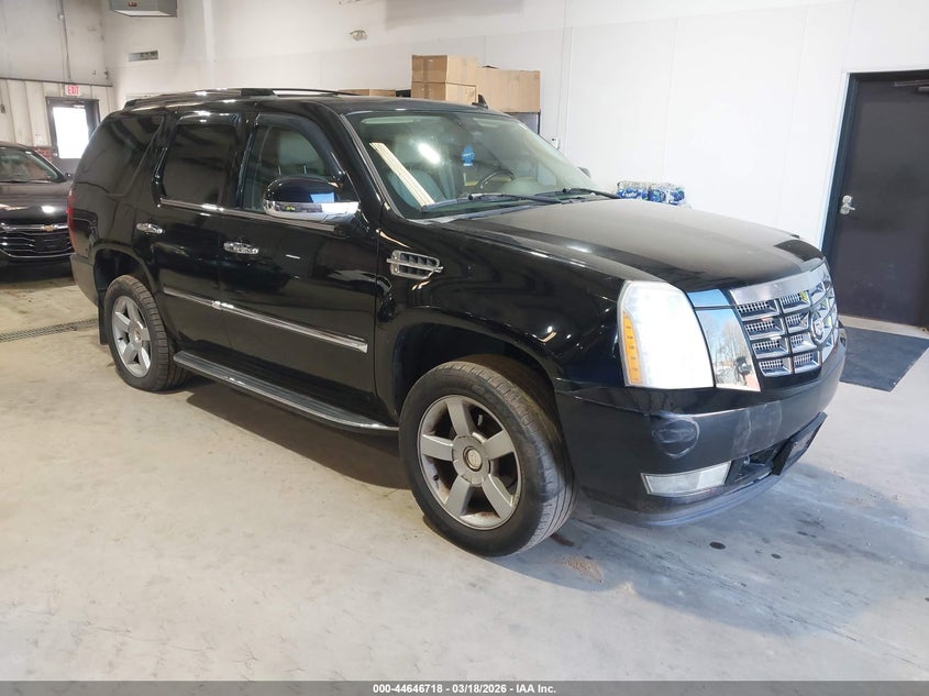 2007 Cadillac Escalade Standard
