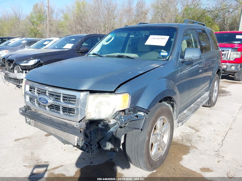 2011 Ford Escape Xlt