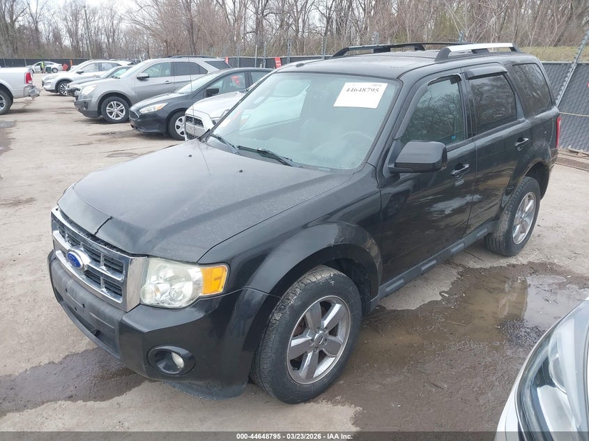 2011 Ford Escape Limited