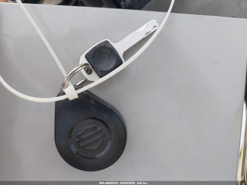 2019 Harley-Davidson Fxbb VIN: 1HD1YJJ26KB053990 Lot: 44650329