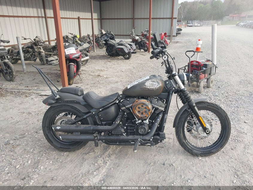 2019 Harley-Davidson Fxbb VIN: 1HD1YJJ26KB053990 Lot: 44650329