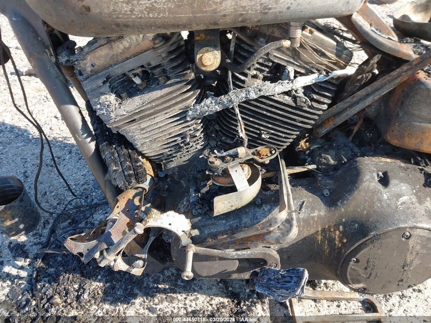 2008 Harley-Davidson Fxdc Daytona Custom VIN: 1HD1GV4478K311045 Lot: 44650718