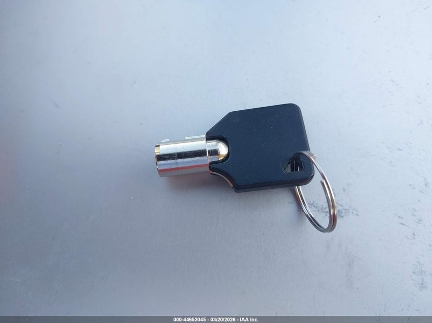 2003 Harley-Davidson Flhri Shrine VIN: 1HD1FWW363Y704828 Lot: 44652045