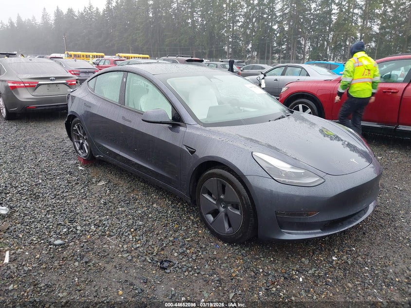 2023 Tesla Model 3 Rear-Wheel Drive