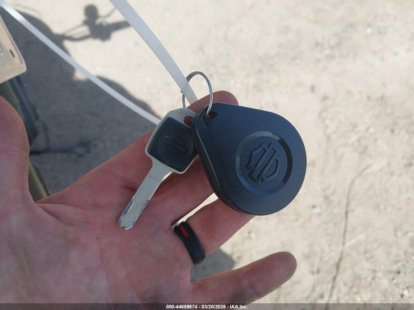 2023 Harley-Davidson Fxlrs VIN: 1HD1YWZ13PB075199 Lot: 44659674