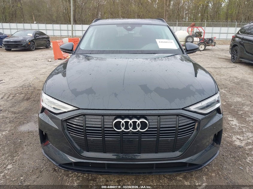 2022 Audi E-Tron Premium Plus Quattro VIN: WA1LAAGE3NB032335 Lot: 44660119