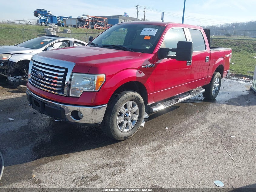 2010 Ford F-150 Fx4/Harley-Davidson/King Ranch/Lariat/Platinum/Xl/Xlt