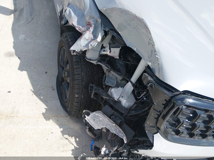 VIN 5XYP5DGC8RG566793 2024 KIA TELLURIDE SX PRESTIGE X-PRO