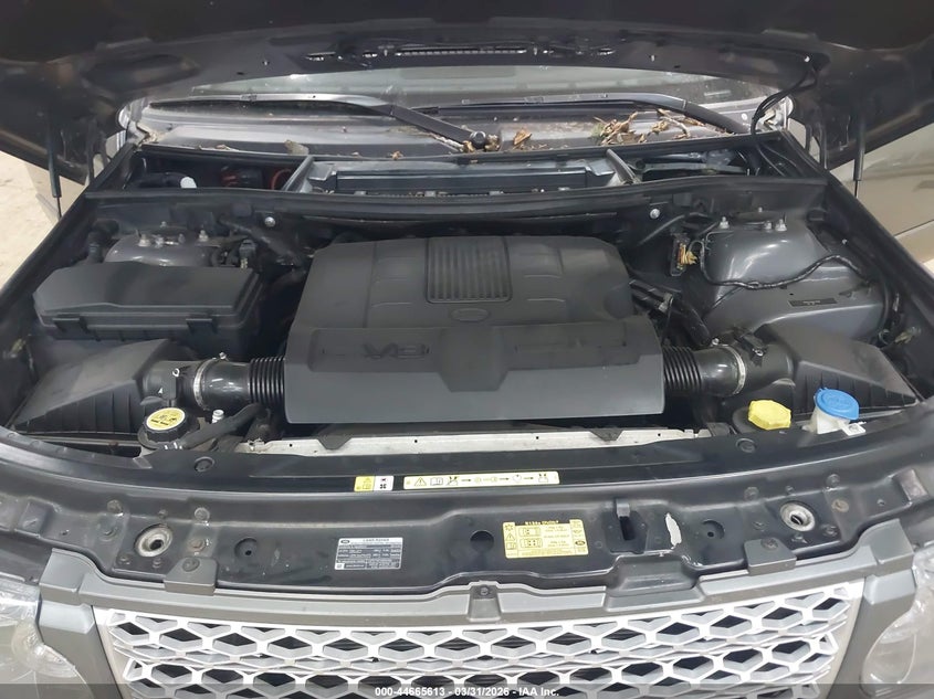 2010 Land Rover Range Rover Hse VIN: SALMF1D44AA309803 Lot: 44665613