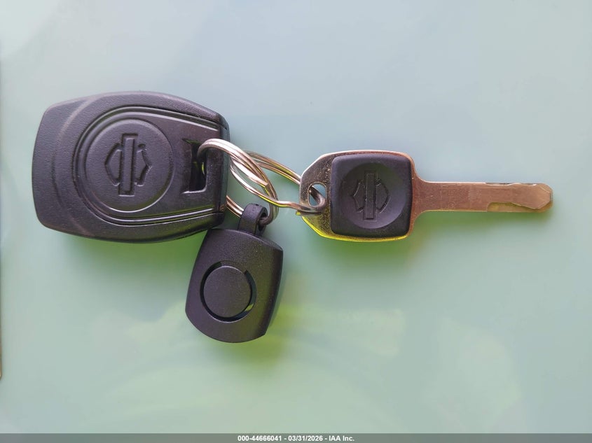 2021 Harley-Davidson Ra1250 S VIN: 1HD1ZES11MB304248 Lot: 44666041