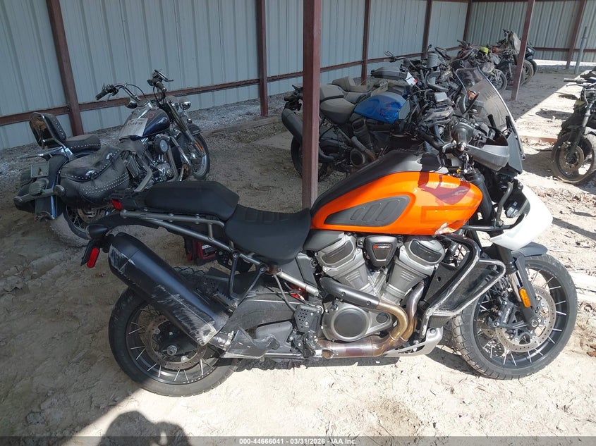 2021 Harley-Davidson Ra1250 S VIN: 1HD1ZES11MB304248 Lot: 44666041