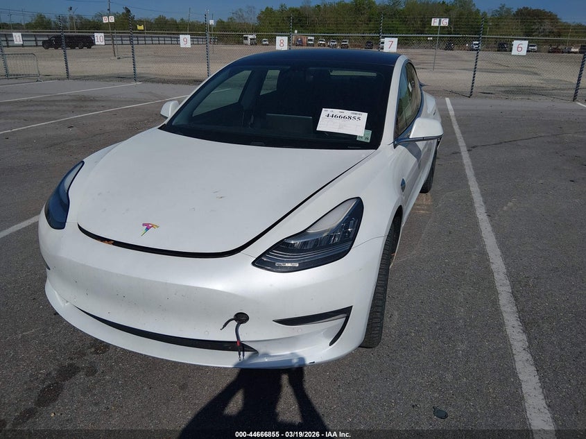 2020 Tesla Model 3 Standard Range Plus Rear-Wheel Drive/Standard Range Rear-Wheel Drive 5YJ3E1EA9LF629946 photo 1
