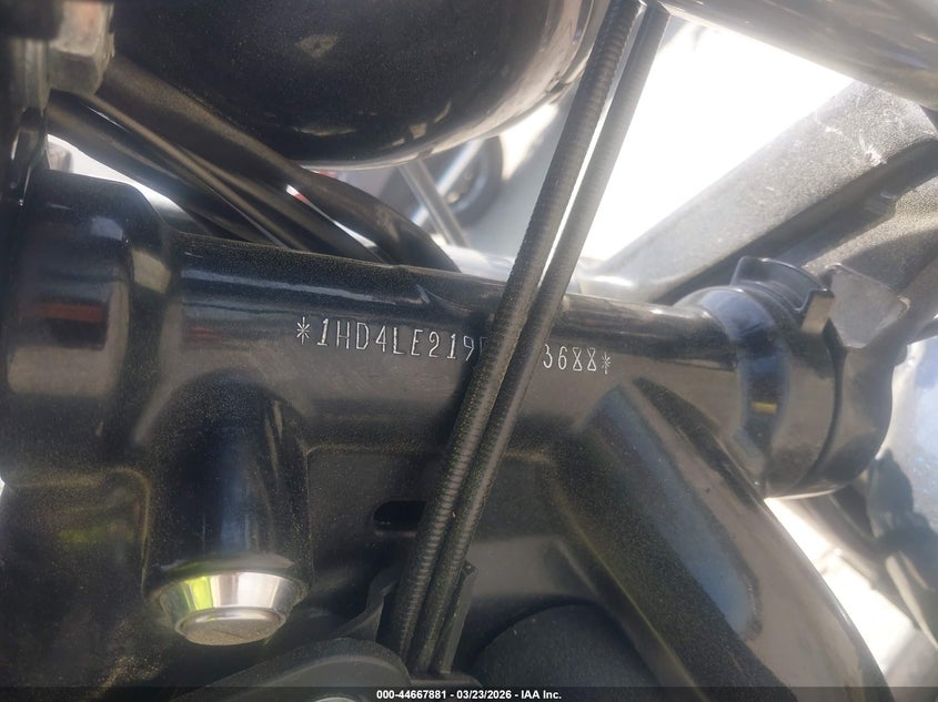 2013 Harley-Davidson Xl883 Iron 883 VIN: 1HD4LE219DC423688 Lot: 44667881