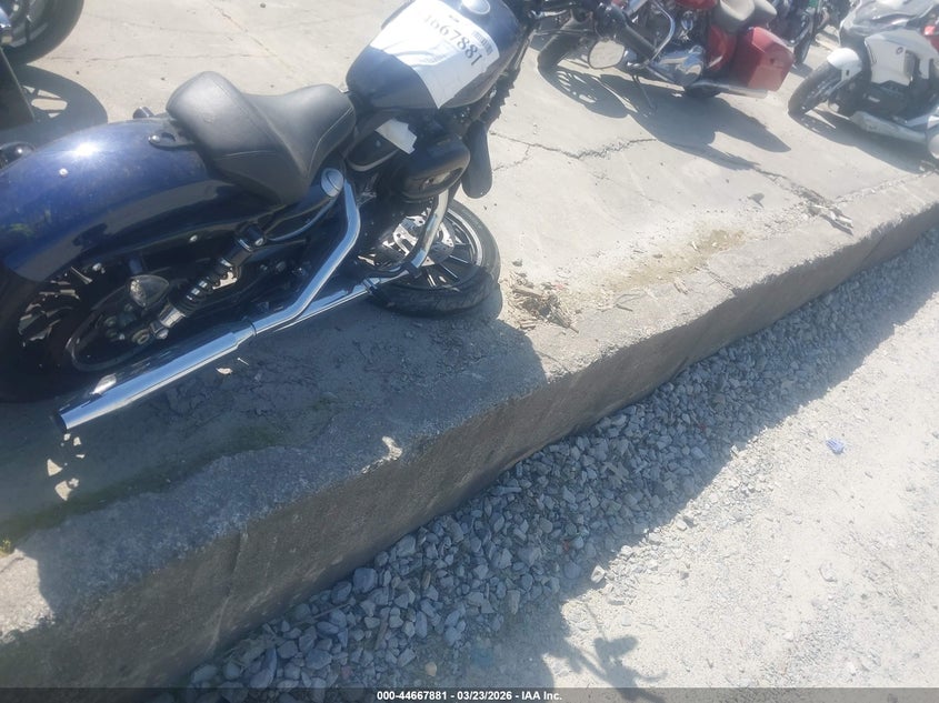 2013 Harley-Davidson Xl883 Iron 883 VIN: 1HD4LE219DC423688 Lot: 44667881