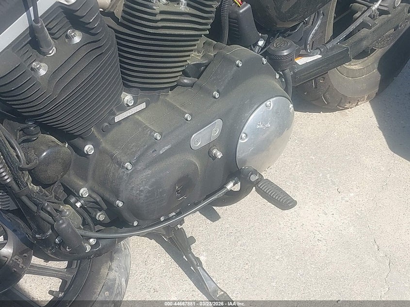 2013 Harley-Davidson Xl883 Iron 883 VIN: 1HD4LE219DC423688 Lot: 44667881