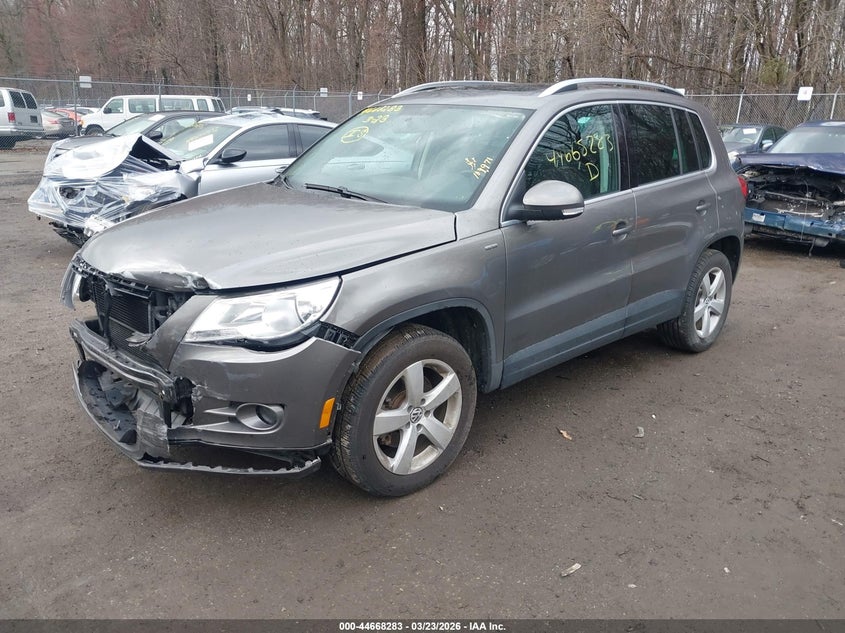 2010 Volkswagen Tiguan Wolfsburg Edition