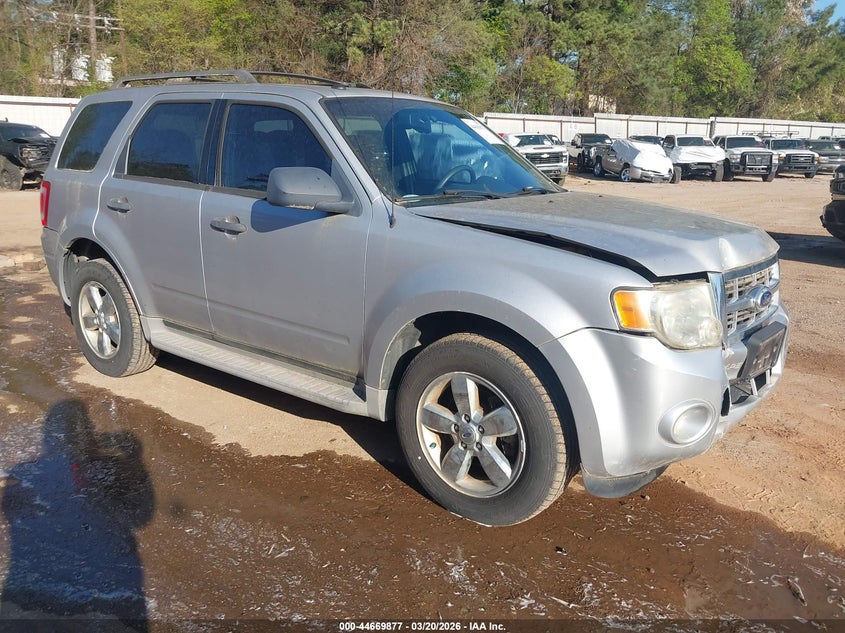 2010 Ford Escape Xlt
