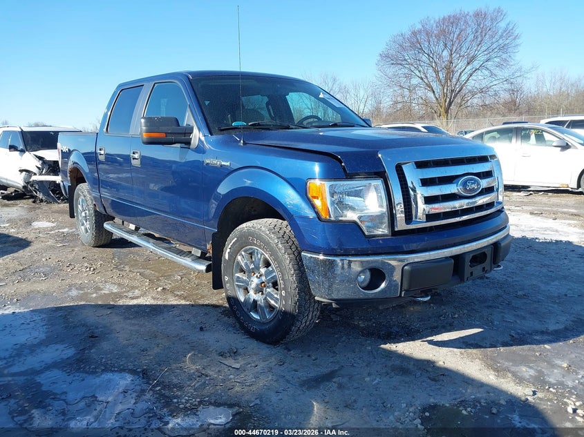 2010 Ford F-150 Fx4/Harley-Davidson/King Ranch/Lariat/Platinum/Xl/Xlt